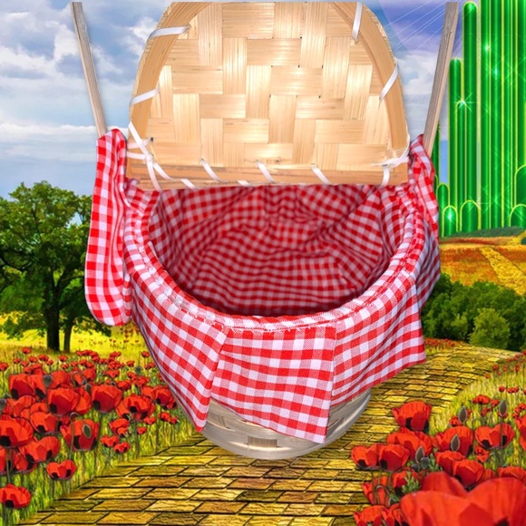 KIDS WIZARD OF OZ DORTHY DRESS HALLOWEEN COSTUME - Picture 6 of 6